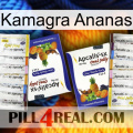 Kamagra Pineapple 12